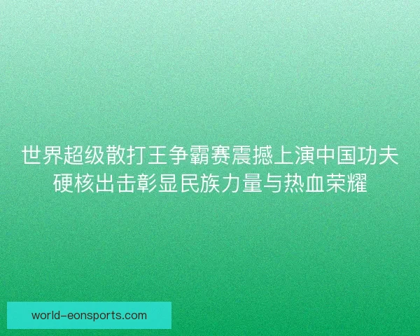 世界超级散打王争霸赛震撼上演中国功夫硬核出击彰显民族力量与热血荣耀