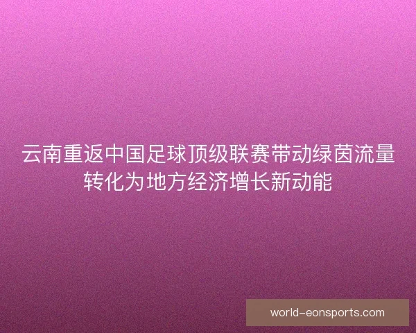 云南重返中国足球顶级联赛带动绿茵流量转化为地方经济增长新动能